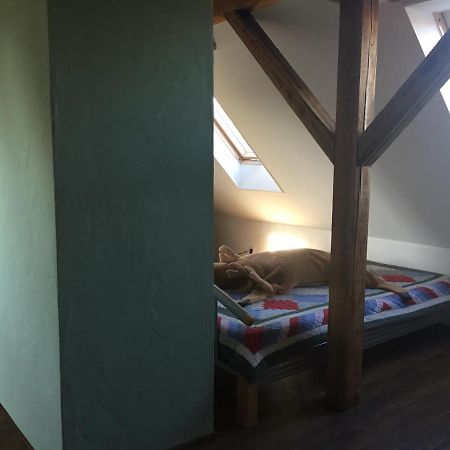 Ferienwohnung Schulze Фрайтал Екстериор снимка