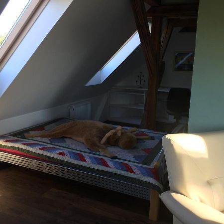 Ferienwohnung Schulze Фрайтал Екстериор снимка